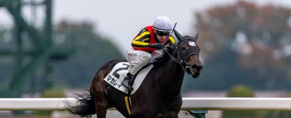 【東京1R】プーシャン騎乗 マカレイが人気に応える…最内から抜け出す