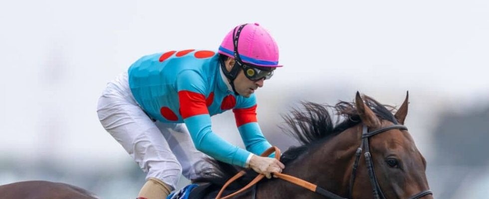 【イクイノックスM】断然人気ウィクトルウェルスが快勝…ルメールは本日3勝目