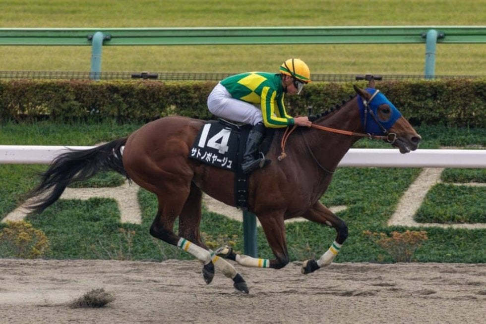 オキザリス賞】サトノボヤージュが5馬身差圧勝 | その他競技