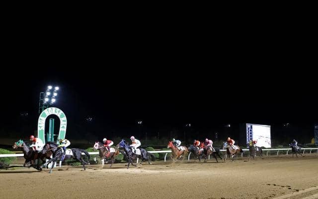 【佐賀・カペラ賞結果】サキドリトッケンが断然人気に応え重賞3連勝