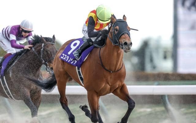 【武蔵野S】コスタノヴァ、オメガギネスらが登録