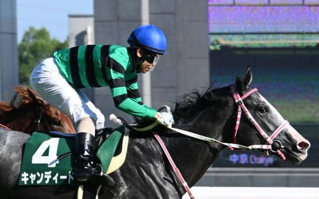 【デイリー杯2歳S】キャンディード、カヴァレリッツォらが登録