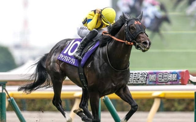 【マイルCS】ジャンタルマンタル、ソウルラッシュらが登録