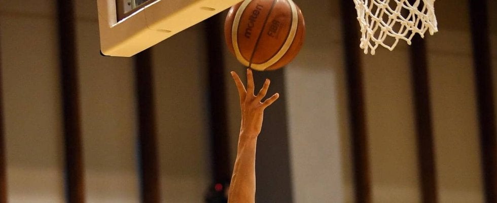 【高校バスケ】藤枝明誠が男子４連覇！夏は全国初戦敗退…野津主将「最後は日本一実現を」／静岡