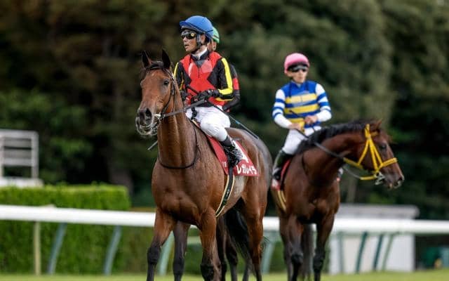 エリザベス女王杯など3重賞/今週の競馬界の見どころ