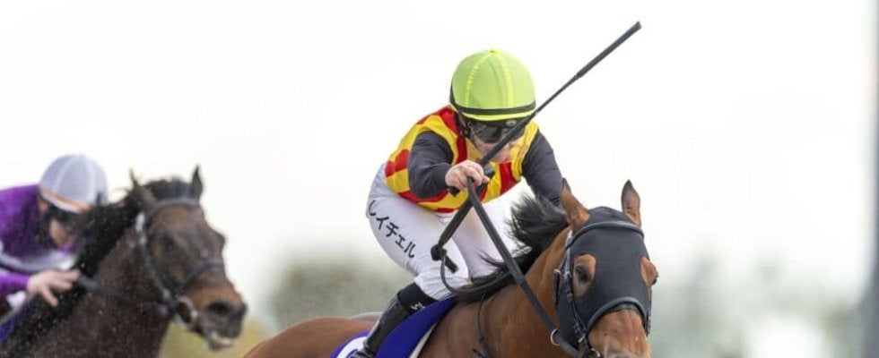 【武蔵野S登録馬】コスタノヴァなど21頭