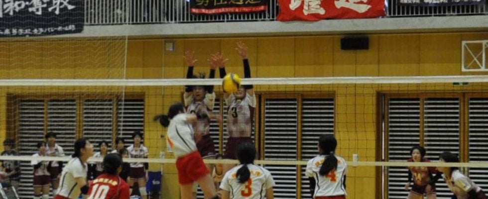 春高バレー神奈川大会、男女ともベスト4決まる　15日に準決勝と決勝