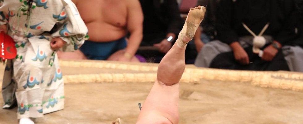 十両の三田が土俵上で動けなくなるアクシデント　両手で顔覆い担架に　序二段取組でも救急搬送