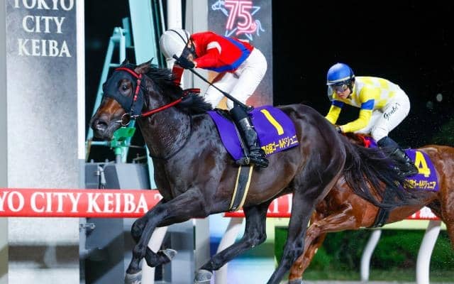 【大井・ハイセイコー記念枠順】3連勝中のゴーバディは5枠10番