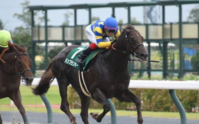 【先週のJRA抹消馬】ダート短距離重賞3勝のドンフランキー、昨年の六甲Sを制したボルザコフスキーなど