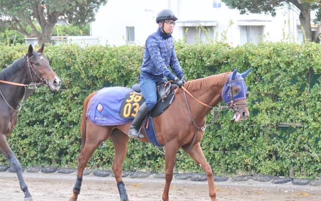 全兄が米G1馬のダノンマスタング 田中博師「いいスピードがありそう」/関東馬メイクデビュー情報