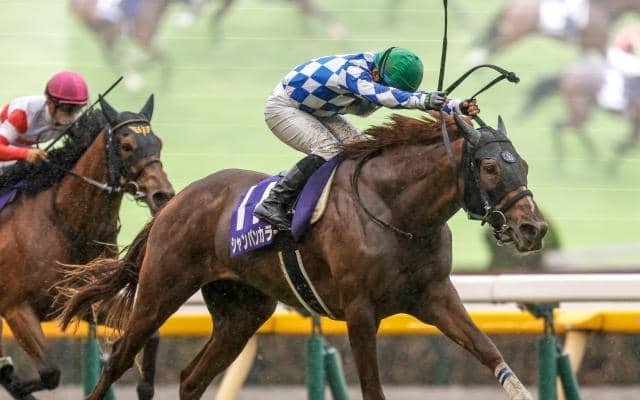 【マイルCS出走馬決定順】フルゲート18頭に22頭が登録 GI馬シャンパンカラーなど4頭が除外見込み