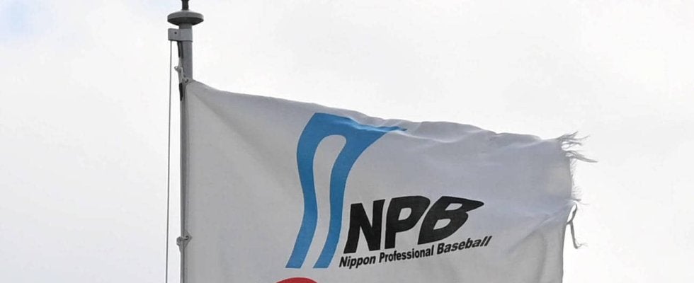 プロ野球、来季からの拡大ベース導入を前向きに検討　プエルトリコWLへ審判員派遣　実行委員会