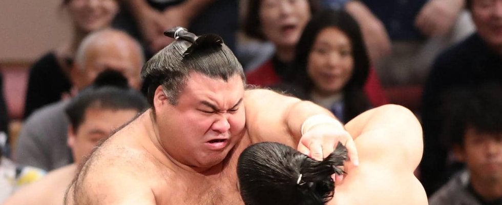 高安が今場所初白星　黒星の前夜は豪華アラ鍋で「験直しになりました」差し入れに感謝