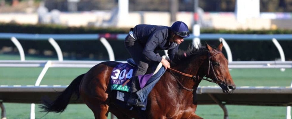 【ジャパンカップ】アイルランド＆フランスから4頭が正式参戦へ