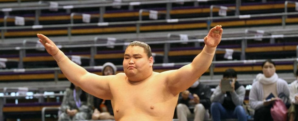 新弟子なのに「旭富士」のタオルを掲げるファンが出現「いきなり幕内みたいな雰囲気」