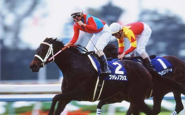 弟キズナとは15歳差 ファレノプシスのエリザベス女王杯勝利から25年