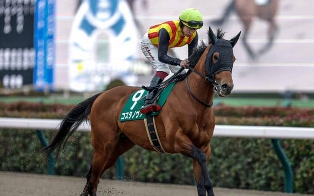 【武蔵野S予想オッズ】コスタノヴァが予想1番人気