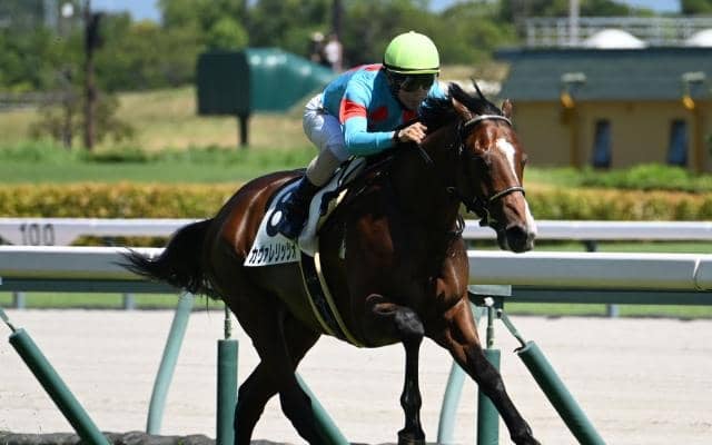 【デイリー杯2歳S予想オッズ】カヴァレリッツォが予想1番人気