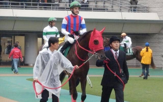 関東馬として最後に武蔵野Sを制したノンコノユメ 古馬重賞初制覇を振り返る