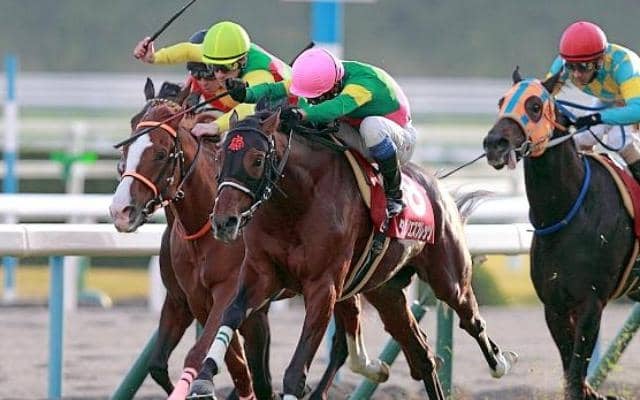 後の名ジャンパー・タガノエスプレッソが重賞初制覇 14年のデイリー杯2歳Sを回想