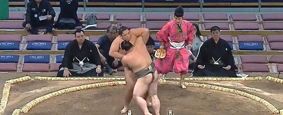 すごいスタイル…「脚長い」「顔ちっさ」20歳の三段目力士、均整の取れたカラダにファン驚き