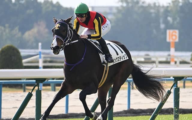 【エリザベス女王杯】18頭の香港馬名・馬名意味を紹介！『毛茸茸』『北島名花』はどの馬？