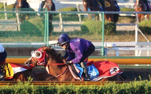 シンエンペラー、ジャパンC2週前追い切り速報/栗東トレセンニュース