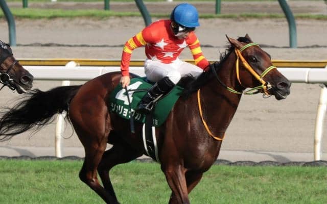 【エリザベス女王杯】珍名でお馴染みの由井健太郎オーナー シンリョクカでGI初制覇なるか