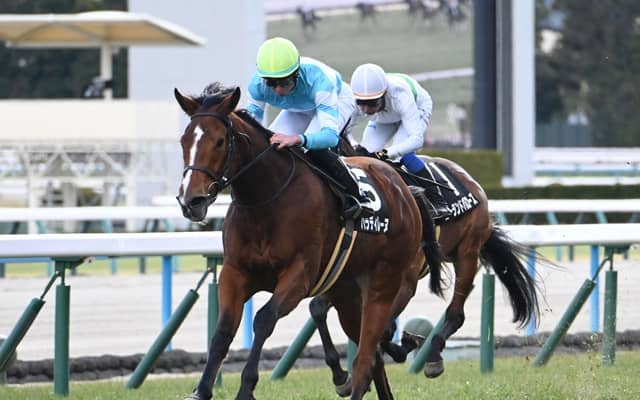 【エリザベス女王杯展望】データから妙味十分！パラディレーヌが狙い目