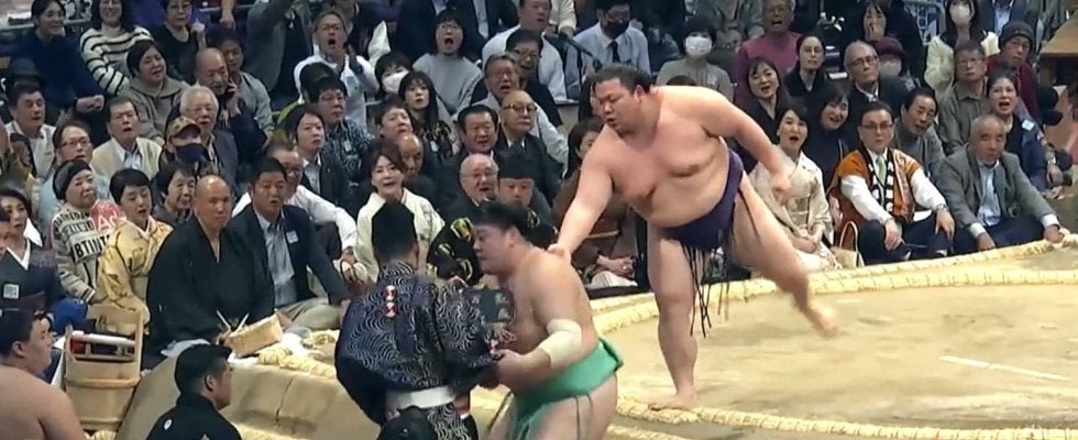 “玉突き”ハプニングで行司が落下…館内騒然 まさかの展開に笑いも「自分より行司さんを」一山本の優しさに脚光