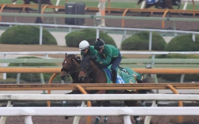 ベラジオオペラ、香港C追い切り速報//栗東トレセンニュース