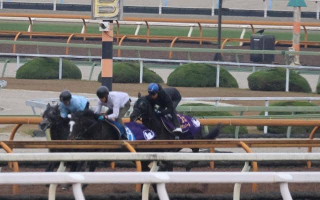 クロワデュノール、帰国後初追い切り速報/栗東トレセンニュース