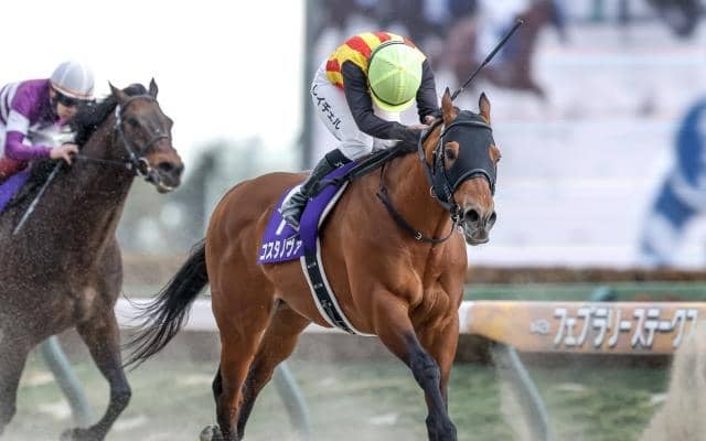 【武蔵野S出走馬・騎手確定】コスタノヴァ＆C.ルメール騎手、オメガギネス＆岩田康誠騎手など16頭