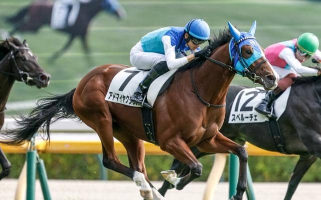 【デイリー杯2歳S出走馬・騎手確定】カヴァレリッツォ＆C.デムーロ騎手、アドマイヤクワッズ＆坂井瑠星騎手など8頭