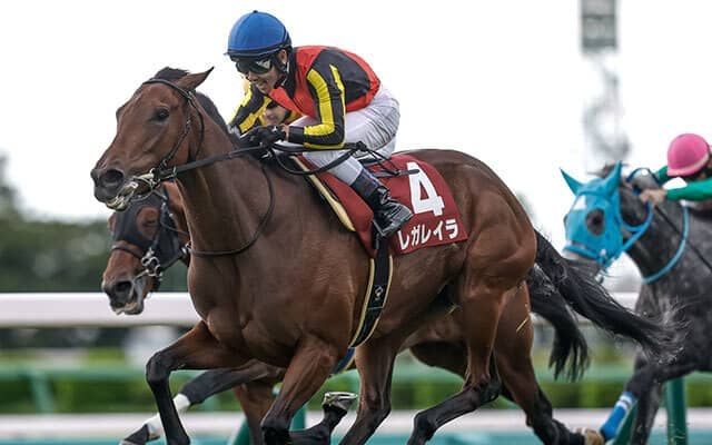 【エリザベス女王杯・調教後馬体重】レガレイラは482kg、ステレンボッシュは480kg