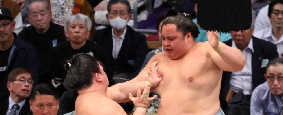 幕内最年少20歳の藤ノ川が平幕唯一無傷５連勝「もっと盛り上がって」日に日に歓声増も緊張無縁