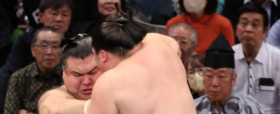 高安「茨城県民の日」４連勝も…「なんですか、それ？」茨城県出身で思い出も多い日かと思いきや