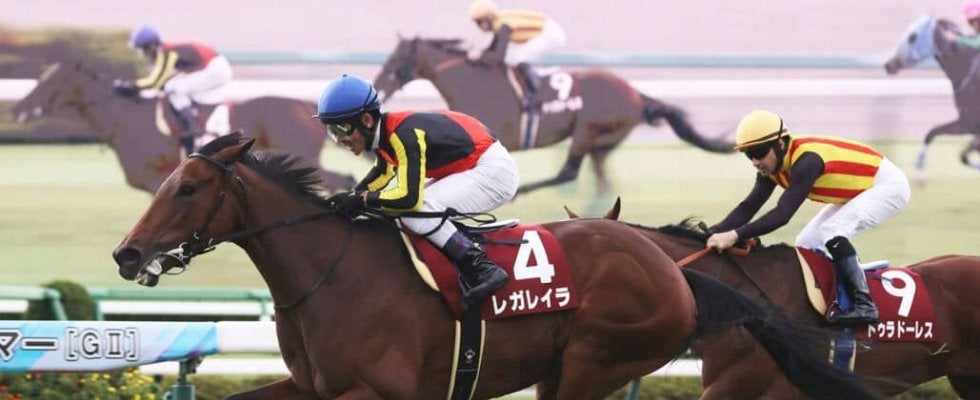 【エリザベス女王杯】レガレイラは482kg…出走馬の調教後の馬体重