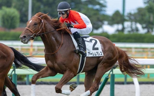 【黄菊賞】半姉はアーテルアストレア アーレムアレスが2勝目なるか