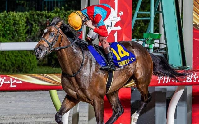 半兄は東京ダービー馬のラムジェット タイキブリッツェンがデビュー勝ちなるか