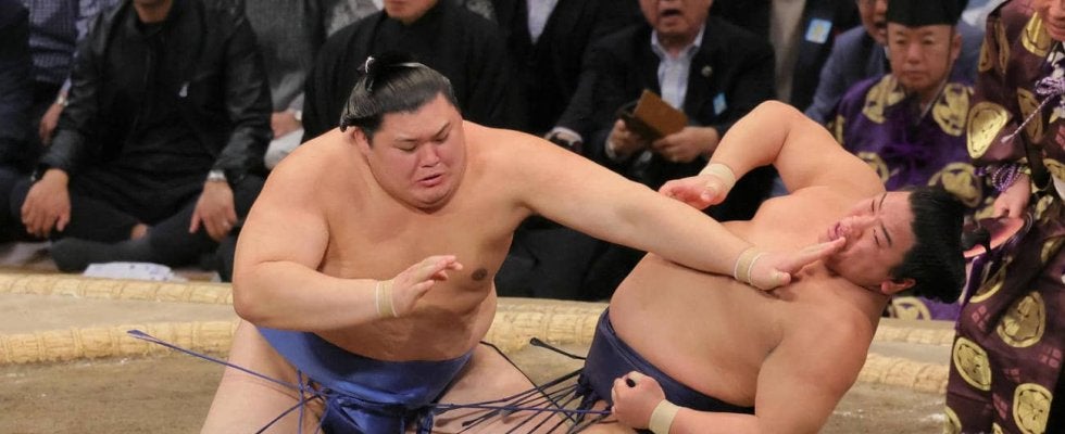 大の里が６連勝で単独首位、無敵状況に「電車道じゃなくブルドーザー道」「負ける姿浮かばない」