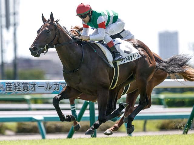 東スポ杯2歳S想定馬・騎手】パントルナイーフ、ストームサンダーなど13