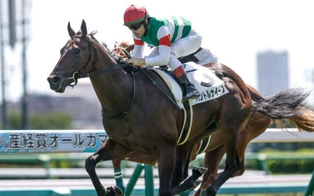 【東スポ杯2歳S想定馬・騎手】パントルナイーフ、ストームサンダーなど13頭