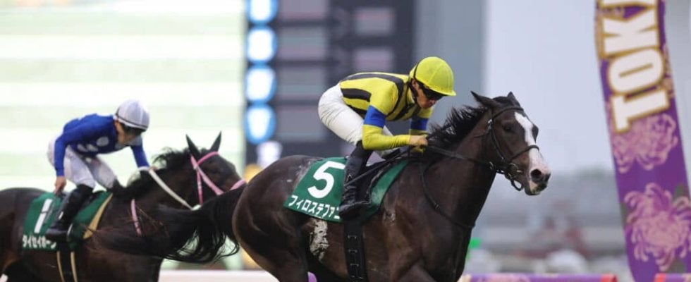 アルテミスS勝ちのフィロステファニが競走馬登録を抹消…今後は社台ファームで繁殖入り