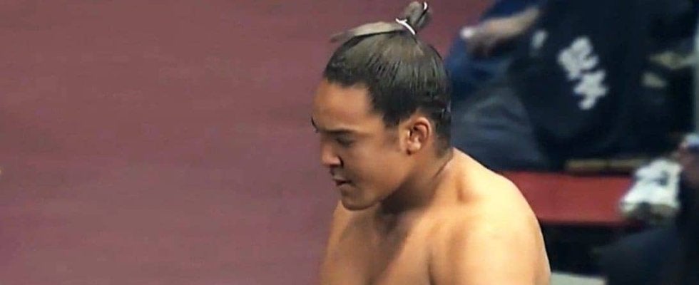 「ほぼ筋肉」「110キロなのに細い」三段目力士、超合金ボディに「あまりにもいい身体」驚き