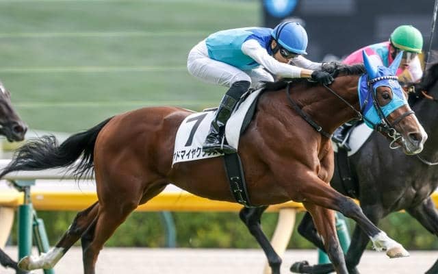 【デイリー杯2歳S】今年は8頭立て 少頭数でも朝日杯FSに向けて見逃せない