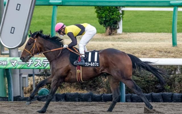 【武蔵野S予想】芝スタートのワンターン チャンピオンズCとは切り分けて考えたい一戦