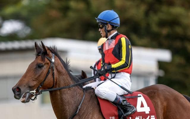 【AI予想・エリザベス女王杯】秋初戦を快勝しますます順調！ 昨年のリベンジへ人工知能も太鼓判