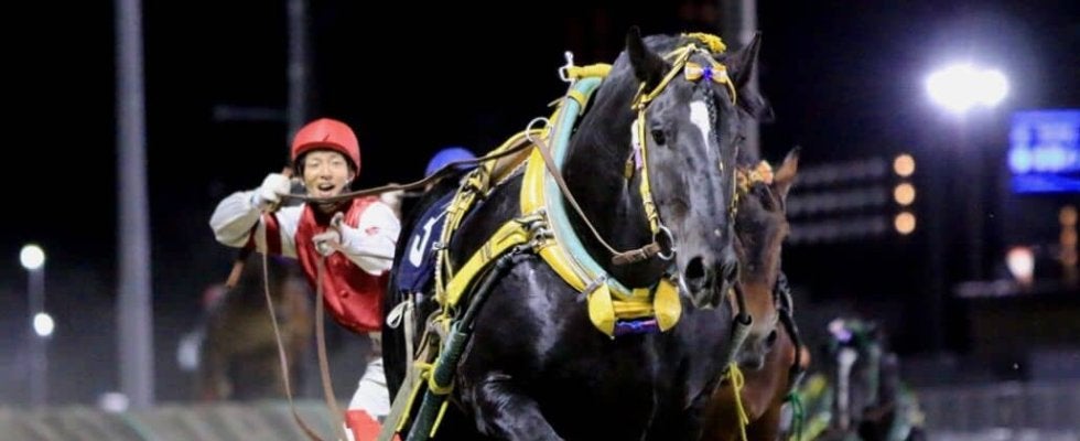 【ばんえい十勝】重賞2勝のインビクタ号が死亡